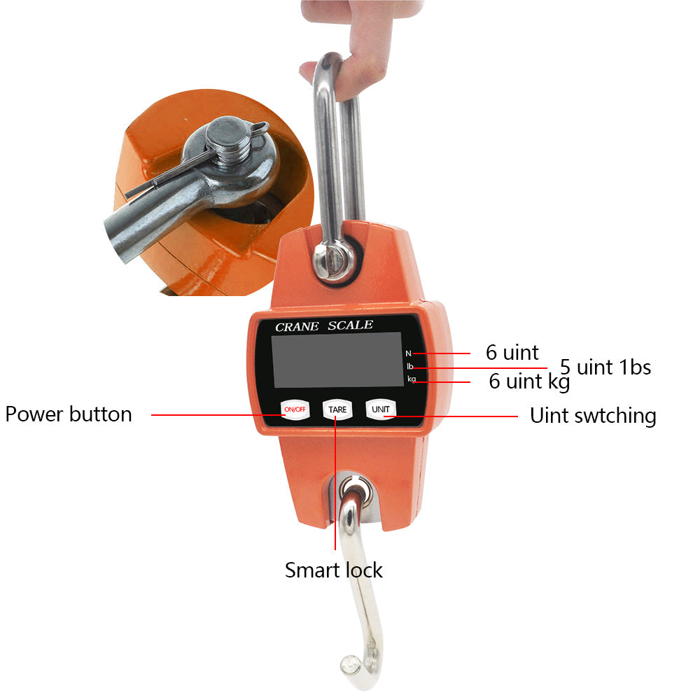 Household electronic crane scale
