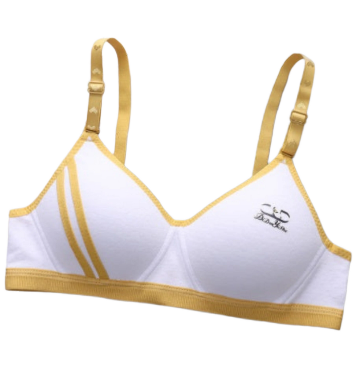 Japanese Style Small Chest Push Up Bra